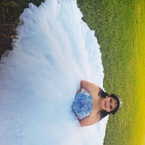 Meet your Posher, Susie